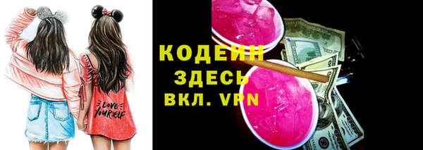 крисы Абаза