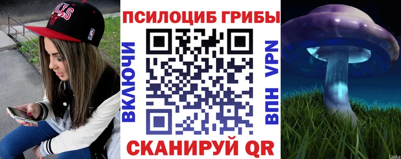 Галлюциногенные грибы Cubensis  где купить наркоту  Шацк 